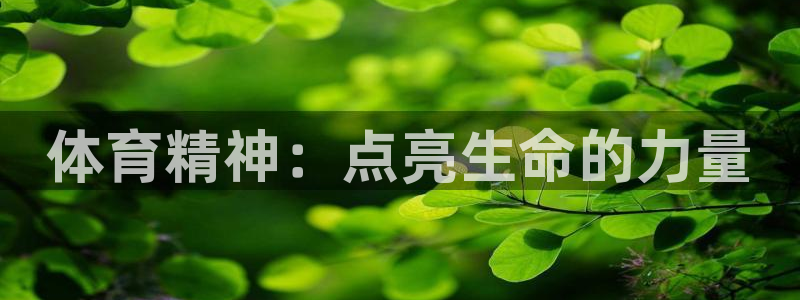 杏鑫3注册：体育精神：点亮生命的力量