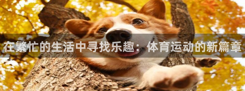 杏鑫登录：在繁忙的生活中寻找乐趣：体育运动的新篇章