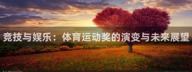 杏鑫体育游戏：竞技与娱乐：体育运动奖的演变与未来展望