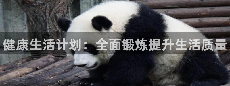 杏鑫体育用品：健康生活计划：全面锻炼提升生活质量