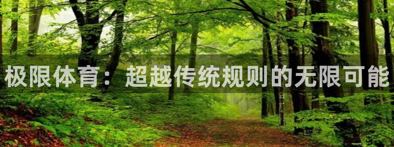 杏鑫体育凯捷平台代理：极限体育：超越传统规则的无限可能