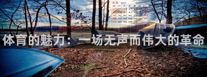 杏鑫官网入口：体育的魅力：一场无声而伟大的革命