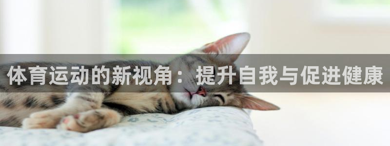 杏鑫招商：体育运动的新视角：提升自我与促进健康