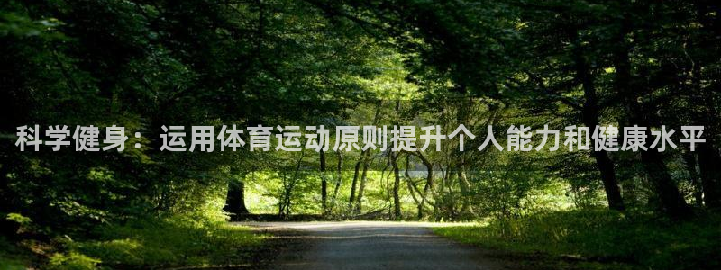 杏鑫