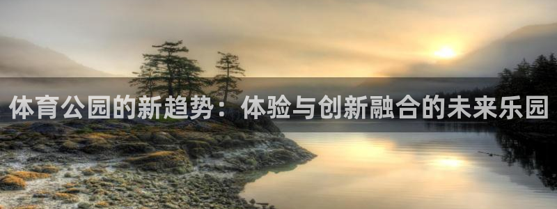 杏鑫4代理：体育公园的新趋势：体验与创新融合的未来乐园