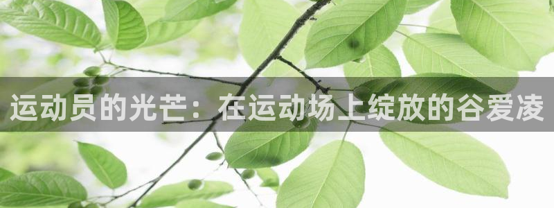 佛山市南海杏鑫机电仪器有限公司：运动员的光芒：在运动场上绽放的谷爱凌