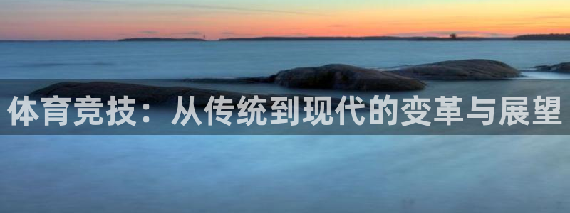 成都杏鑫电子有限公司：体育竞技：从传统到现代的变革与展望