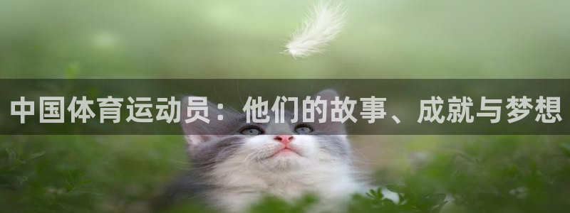杏鑫股份：中国体育运动员：他们的故事、成就与梦想