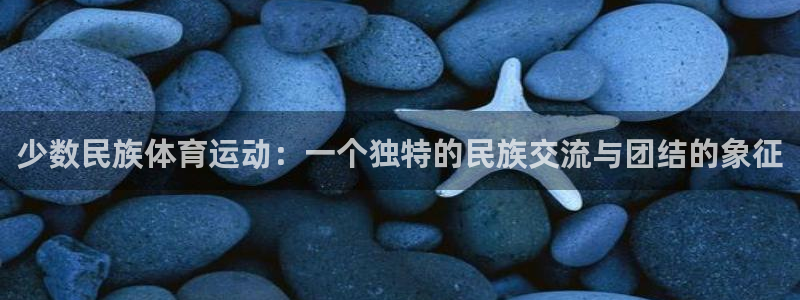 杏鑫：少数民族体育运动：一个独特的民族交流与团结的象征