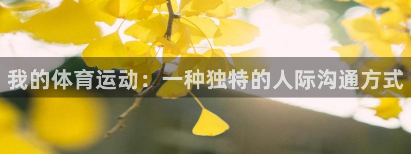 杏鑫4代理：我的体育运动：一种独特的人际沟通方式