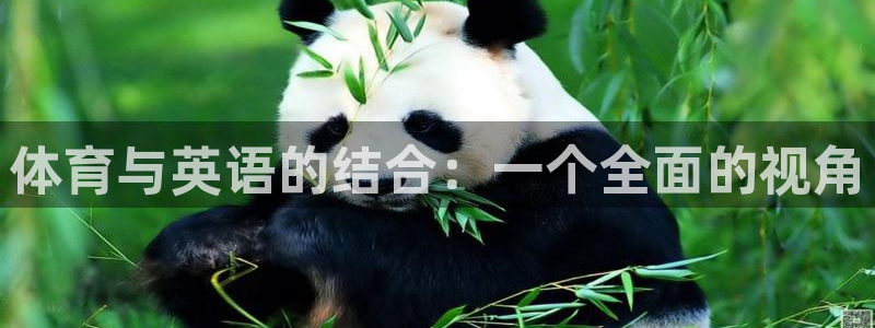 成都杏鑫电子有限公司：体育与英语的结合：一个全面的视角