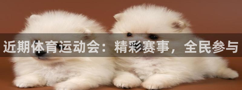 www.杏鑫体育.com：近期体育运动会：精彩赛事，全民参与