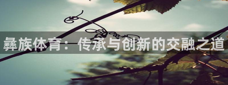 杏鑫体育代理申请流程：彝族体育：传承与创新的交融之道