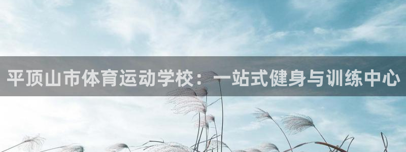 杏鑫体育3：平顶山市体育运动学校：一站式健身与训练中心