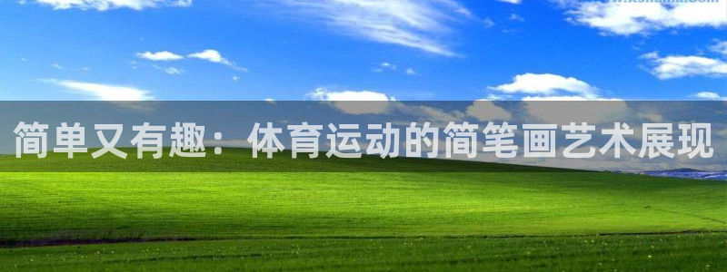 杏鑫体育凯捷平台招商：简单又有趣：体育运动的简笔画艺术展现