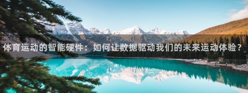杏鑫vk：体育运动的智能硬件：如何让数据驱动我们的未来运动体验？