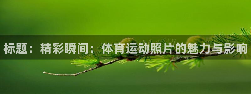 杏鑫4官网：标题：精彩瞬间：体育运动照片的魅力与影响