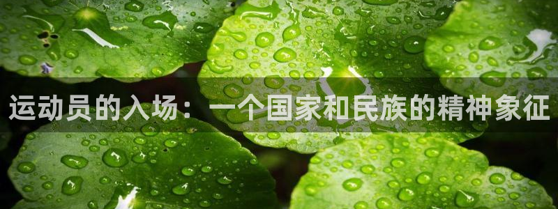 杏鑫集团官网：运动员的入场：一个国家和民族的精神象征