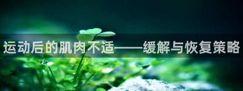 杏鑫：运动后的肌肉不适——缓解与恢复策略