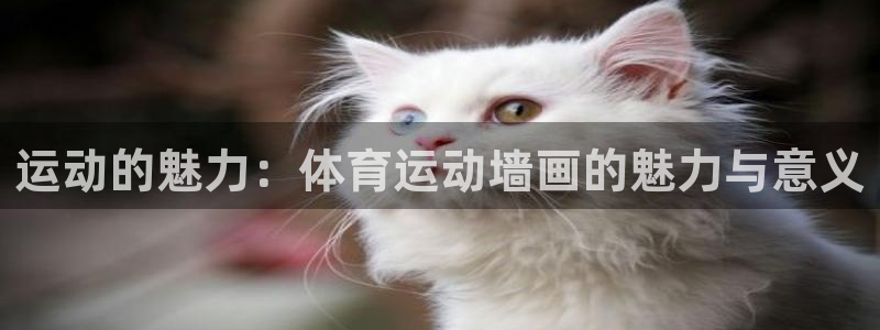 杏鑫2代理注册：运动的魅力：体育运动墙画的魅力与意义