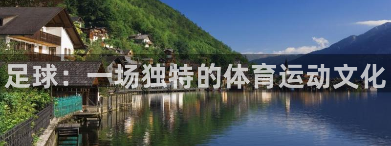 杏鑫体育注册：足球：一场独特的体育运动文化