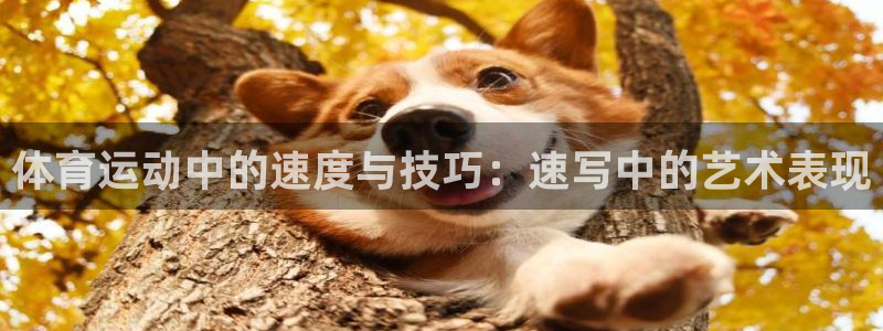 杏鑫3平台注册：体育运动中的速度与技巧：速写中的艺术表现
