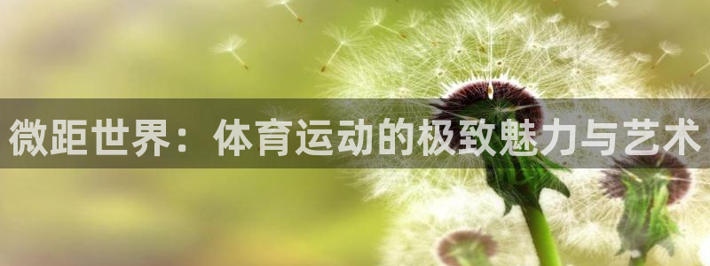 杏鑫凯捷开号链接：微距世界：体育运动的极致魅力与艺术