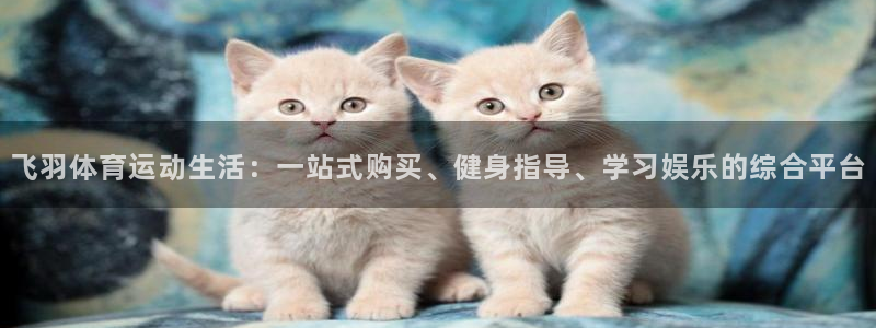东莞市杏鑫电子科技有限公司：飞羽体育运动生活：一站式购买、健身指导、学习娱乐的综合平台