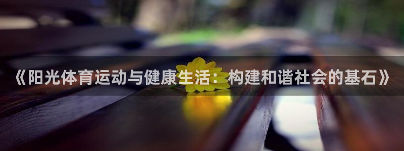 杏鑫体育代理申请流程：《阳光体育运动与健康生活：构建和谐社会的基石》