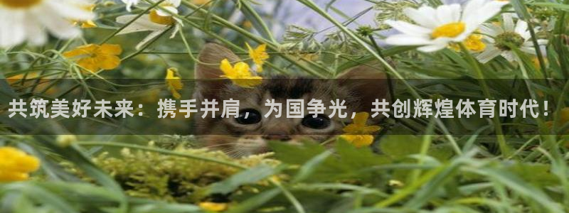 杏鑫3平台注册：共筑美好未来：携手并肩，为国争光，共创辉煌体育时代！