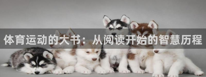 福建杏鑫机电股份公司：体育运动的大书：从阅读开始的智慧历程